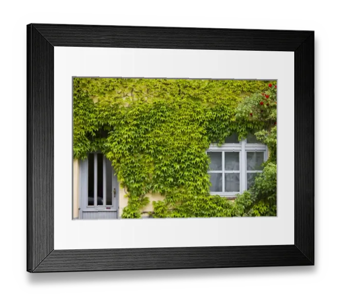 Framed Print : Europe, Germany Framed Print : Europe, Germany