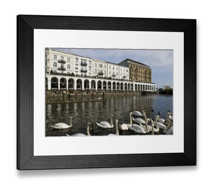 Framed Print : Germany, State of Hamburg, Hamburg. Alsterarkaden Mall, swans Framed Print : Germany, State of Hamburg, Hamburg. Alsterarkaden Mall, swans