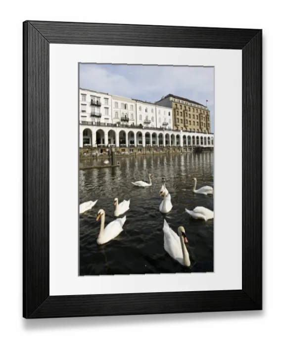 Framed Print : Europe, Germany Framed Print : Europe, Germany