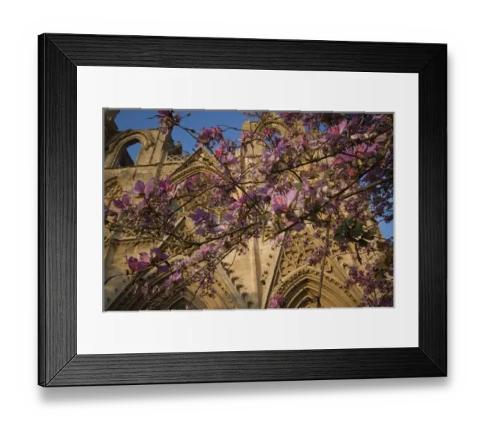 Framed Print : Cyprus, Famagosta, Lala Mustafa Pasha Mosque, former St Nicholas Cathedral Framed Print : Cyprus, Famagosta, Lala Mustafa Pasha Mosque, former St Nicholas Cathedral