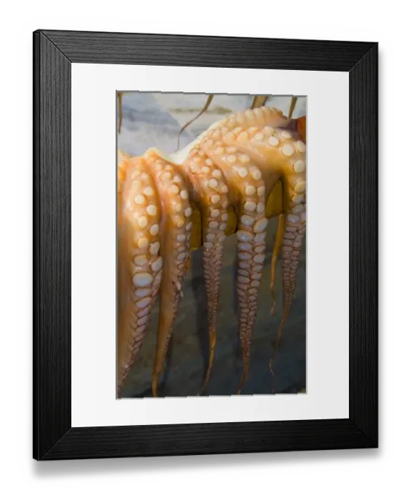 Framed Print : Europe, Greece Framed Print : Europe, Greece