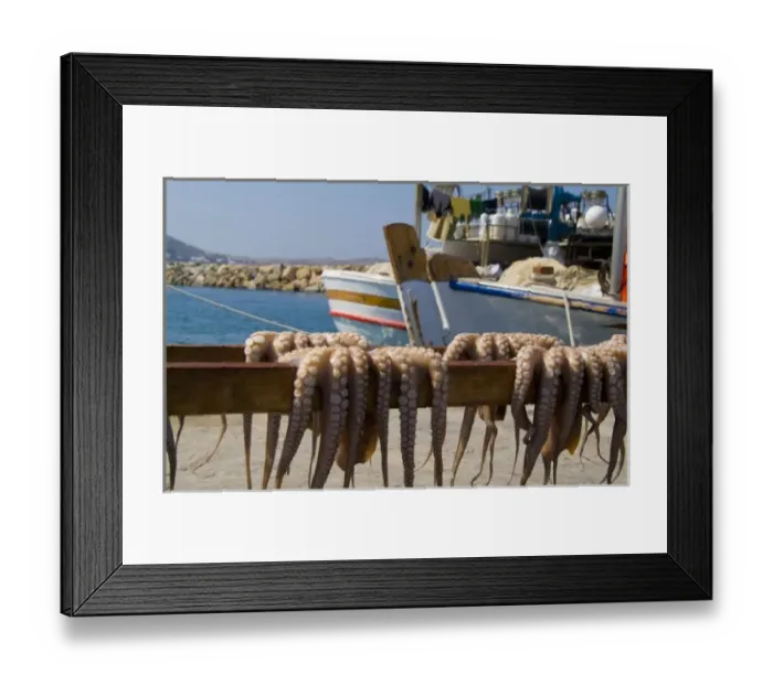 Framed Print : Greece, Cyclades, Paros Island, Naoussa. Fresh octopus dries on a beach Framed Print : Greece, Cyclades, Paros Island, Naoussa. Fresh octopus dries on a beach