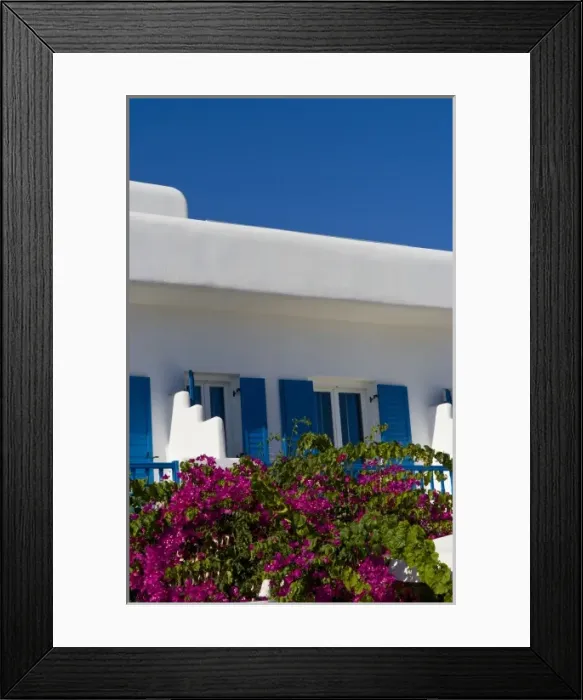 Framed Print : A local whitewashed building with beautiful flowers, Mykonos, Greece Framed Print : A local whitewashed building with beautiful flowers, Mykonos, Greece