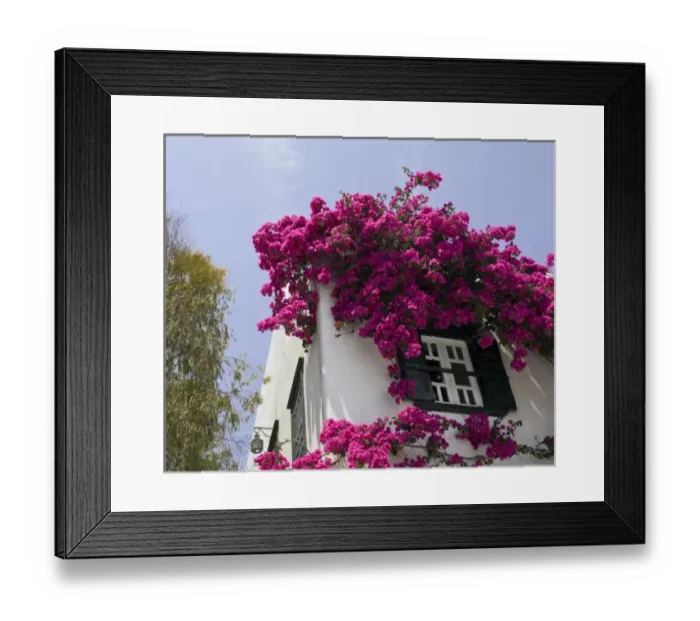 Framed Print : Greece, Mykonos, Hora. Bougainvillea flowing from roof of building Framed Print : Greece, Mykonos, Hora. Bougainvillea flowing from roof of building