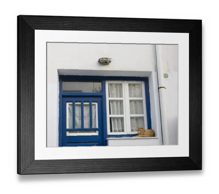 Framed Print : Greece, Mykonos. Orange tabby cat rests on ledge next to blue door and white window and curtains Framed Print : Greece, Mykonos. Orange tabby cat rests on ledge next to blue door and white window and curtains
