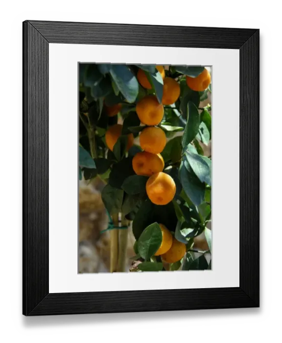 Framed Print : Europe, Greece, Katakolon aka Katakolo. Popular port city on the Ionian Sea, gateway Framed Print : Europe, Greece, Katakolon aka Katakolo. Popular port city on the Ionian Sea, gateway