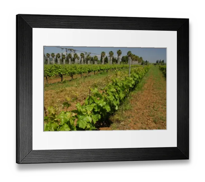 Framed Print : Europe, Greece