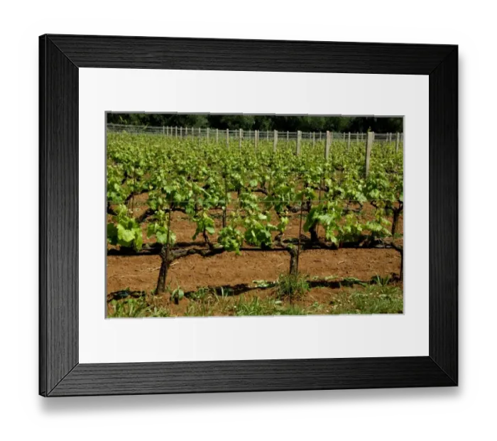 Framed Print : Europe, Greece