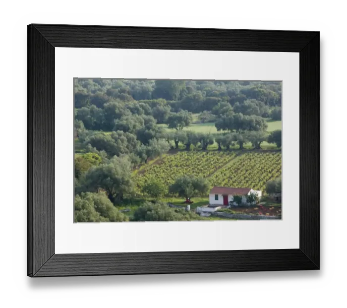 Framed Print : Europe, Greece