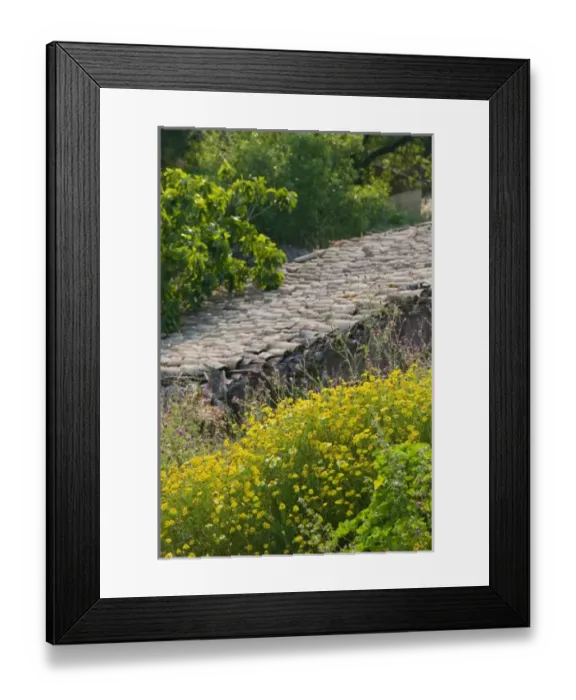Framed Print : Europe, Greece