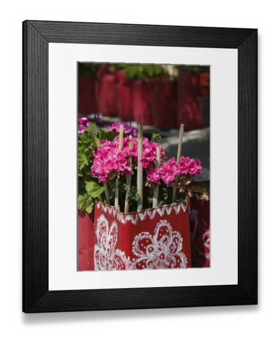 Framed Print : GREECE, Northeastern Aegean Islands, LESVOS (Mytilini), Mithymna (Molyvos): Fishing