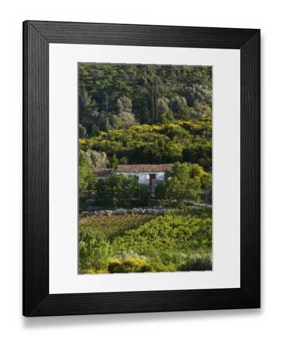Framed Print : Europe, Greece