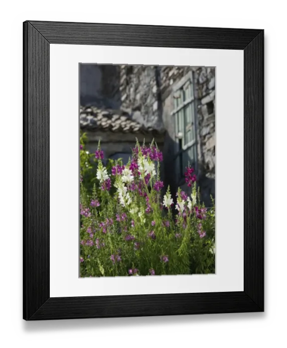 Framed Print : Europe, Greece Framed Print : Europe, Greece