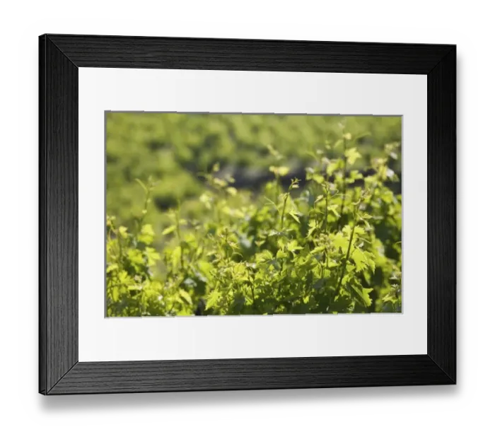 Framed Print : Europe, Greece