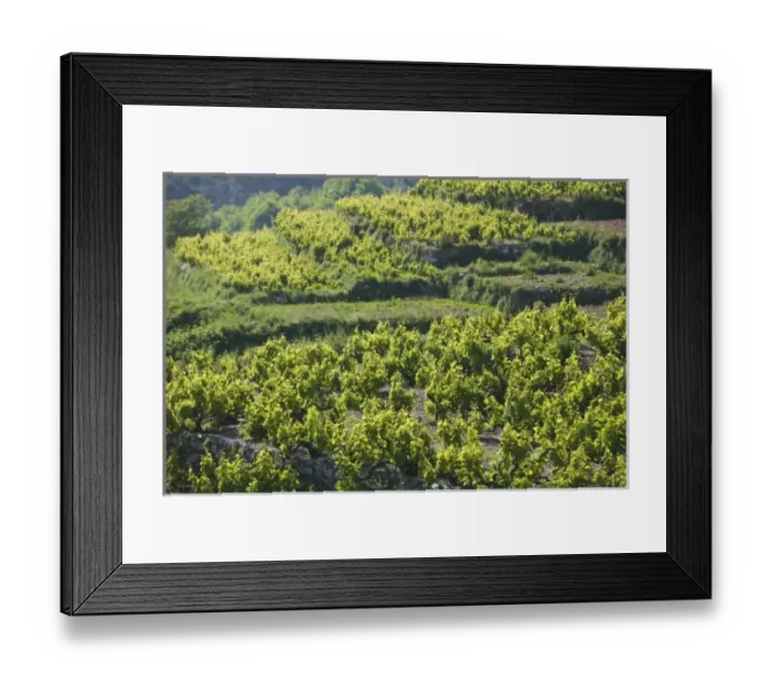 Framed Print : Europe, Greece Framed Print : Europe, Greece
