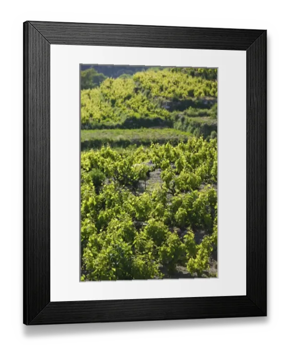 Framed Print : Europe, Greece