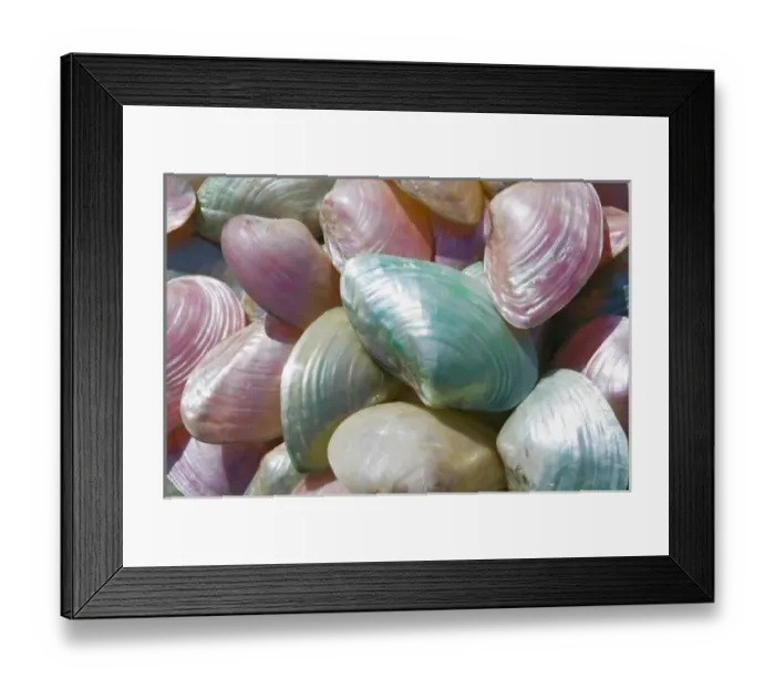 Framed Print : GREECE, Dodecanese Islands, RHODES, Rhodes Town: Commerical Harbor, Seashells by the Seashore Framed Print : GREECE, Dodecanese Islands, RHODES, Rhodes Town: Commerical Harbor, Seashells by the Seashore