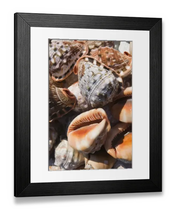 Framed Print : GREECE, Dodecanese Islands, RHODES, Rhodes Town: Commerical Harbor, Seashells by the Seashore Framed Print : GREECE, Dodecanese Islands, RHODES, Rhodes Town: Commerical Harbor, Seashells by the Seashore