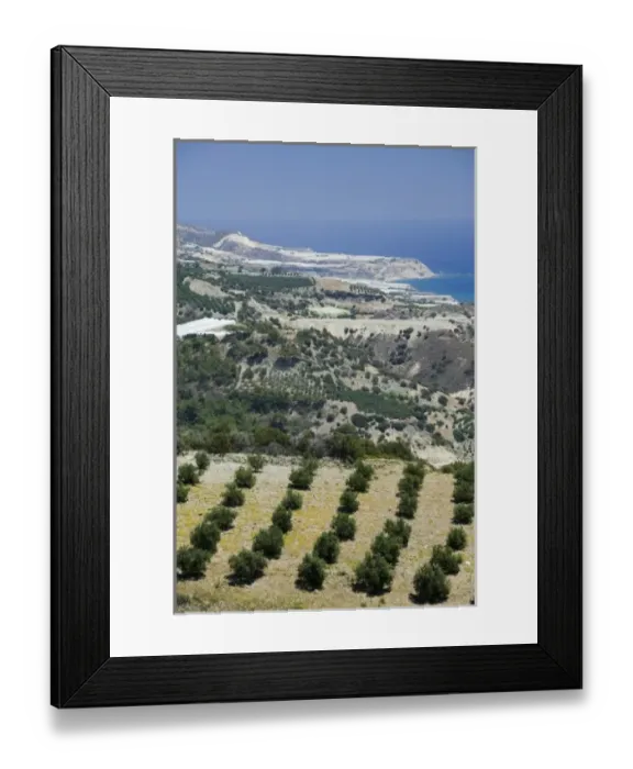 Framed Print : GREECE, CRETE, Iraklio Province, Keratokambos: Hillside Olive Grove Framed Print : GREECE, CRETE, Iraklio Province, Keratokambos: Hillside Olive Grove