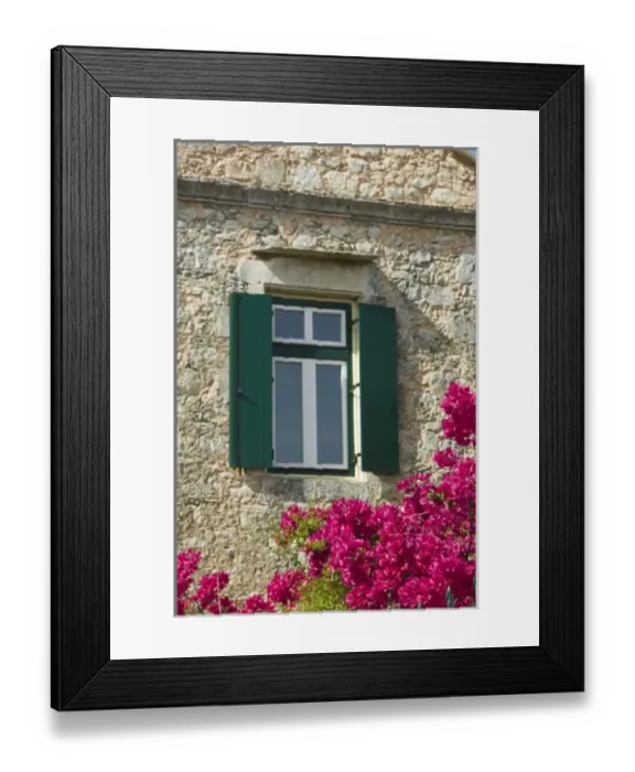 Framed Print : GREECE, CRETE, Hania Province, Vamos: Spring Flowers Detail