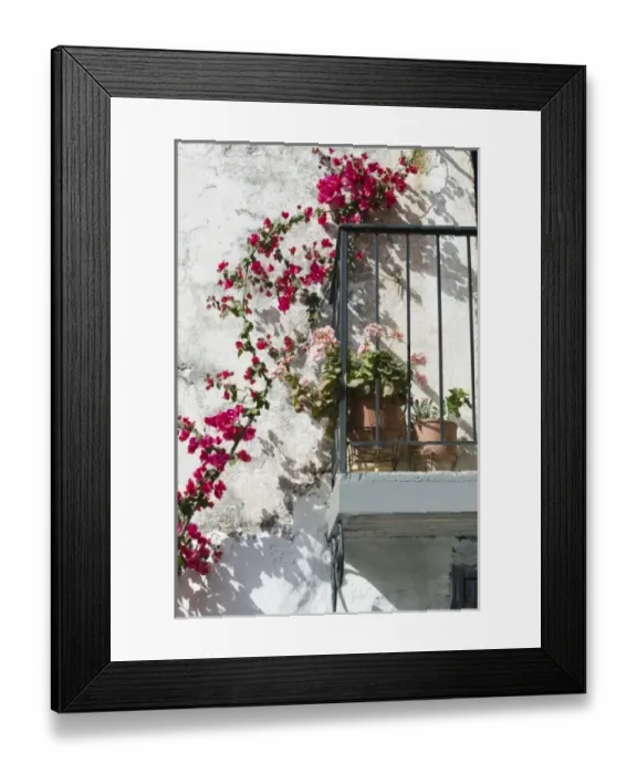 Framed Print : GREECE, CRETE, Hania Province, Vamos: Spring Flowers Detail Framed Print : GREECE, CRETE, Hania Province, Vamos: Spring Flowers Detail