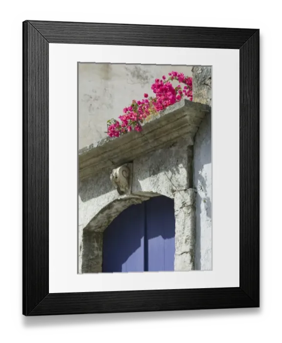 Framed Print : GREECE-CRETE-Hania Province-Vamos: Spring Flowers Detail Framed Print : GREECE-CRETE-Hania Province-Vamos: Spring Flowers Detail