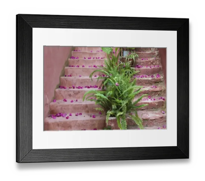 Framed Print : GREECE, CRETE, Hania Province, Hania: Spring Flowers on Staircase Framed Print : GREECE, CRETE, Hania Province, Hania: Spring Flowers on Staircase