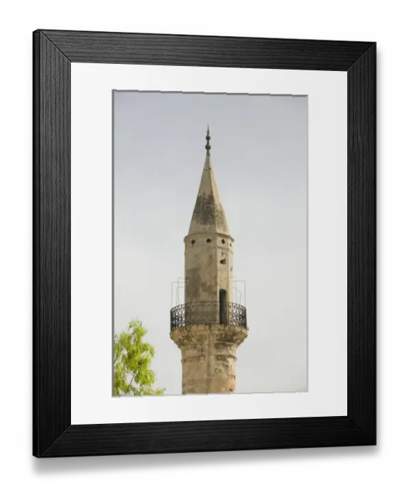 Framed Print : polar bear, Ursus maritimus, subadult standing on the pack ice of the frozen coastal plain Framed Print : polar bear, Ursus maritimus, subadult standing on the pack ice of the frozen coastal plain