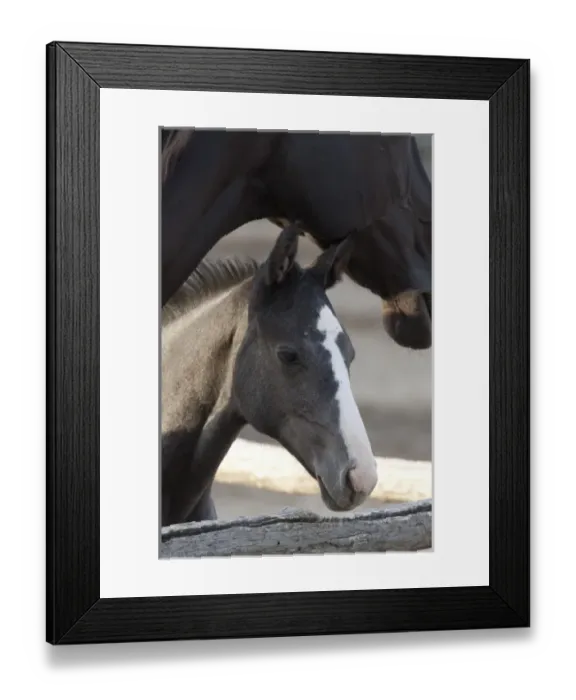 Framed Print : Europe, Hungary