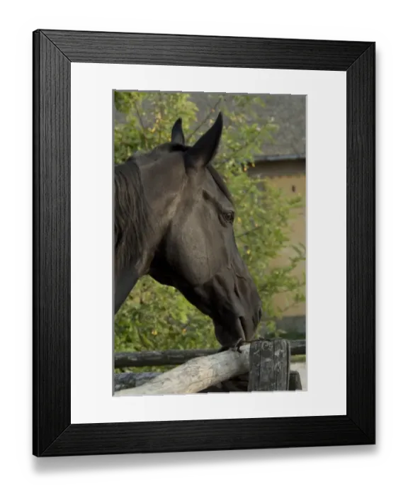 Framed Print : Europe, Hungary