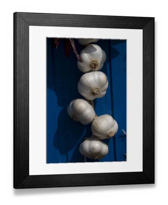 Framed Print : Hungary, Kalocsa. Fresh garlic bulbs hanging on blue door