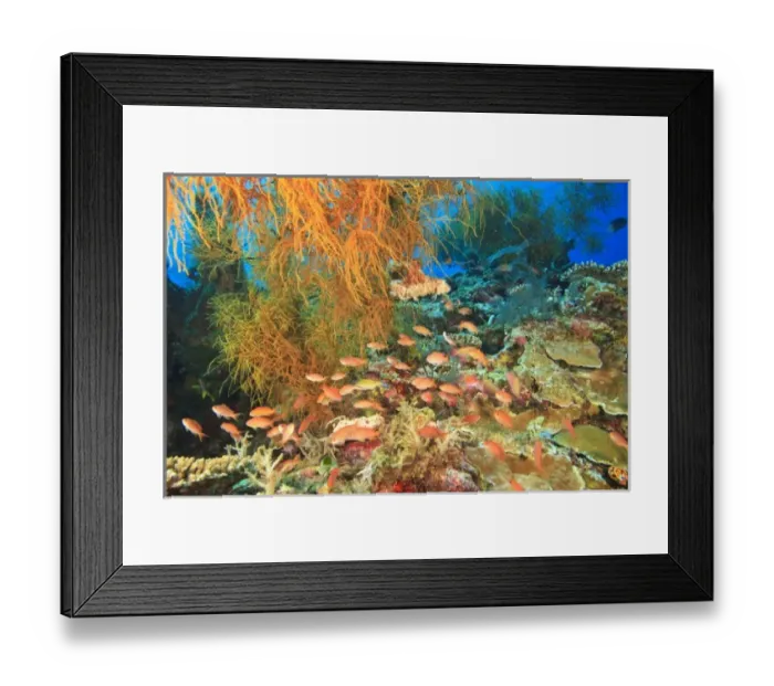 Framed Print : Asia, Indonesia