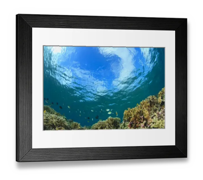 Framed Print : Scuba Diving at Tukang Besi  /  Wakatobi Archipelago Marine Preserve, South Sulawesi, Indonesia, S