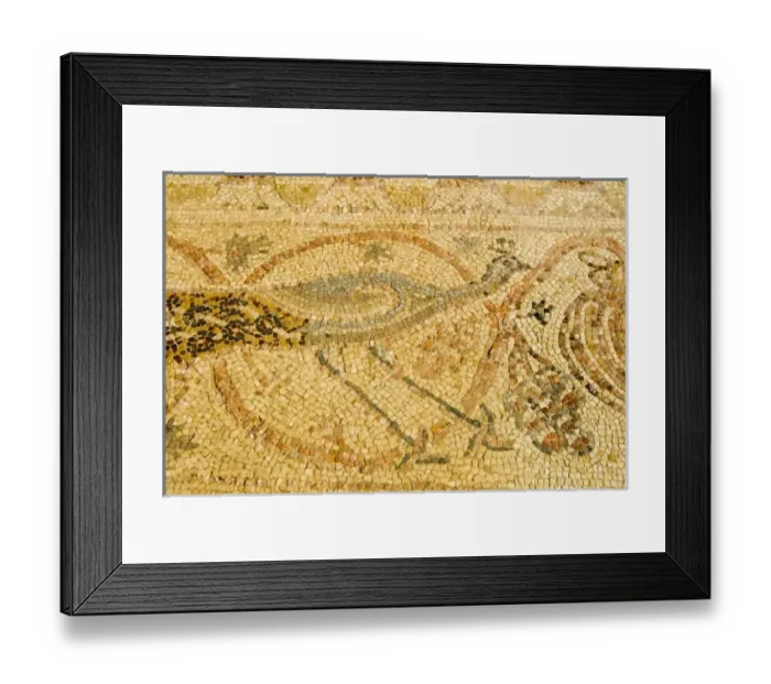 Framed Print : Asia, Israel Framed Print : Asia, Israel