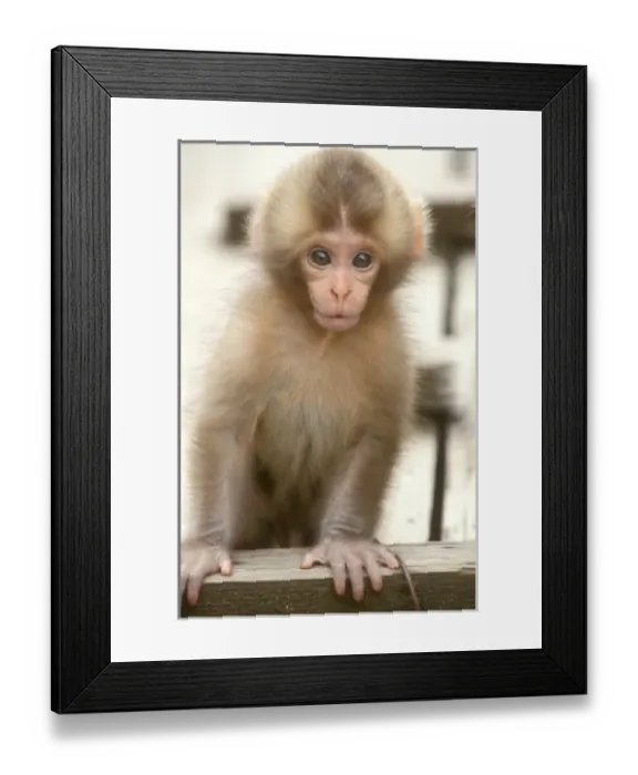 Framed Print : Asia, Japan Framed Print : Asia, Japan