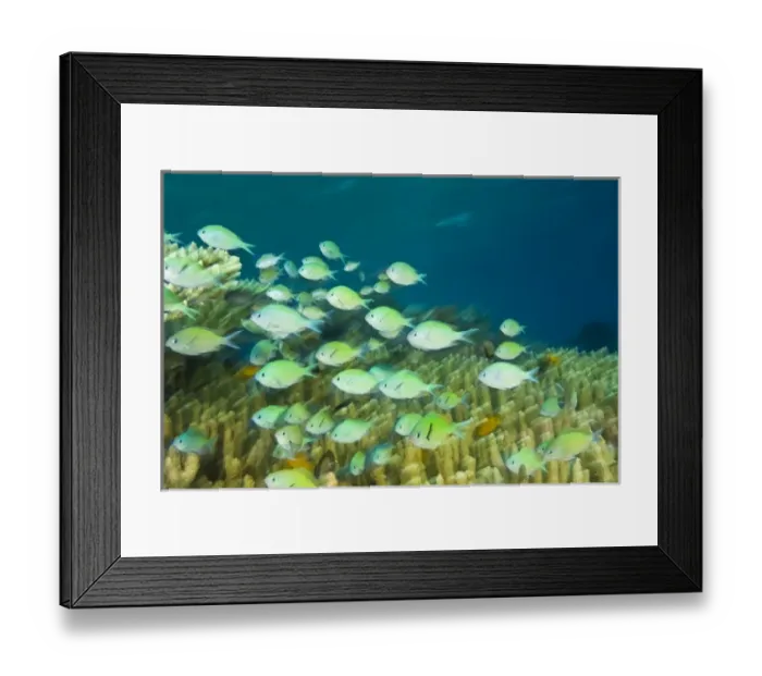 Framed Print : Asia, Indonesia Framed Print : Asia, Indonesia