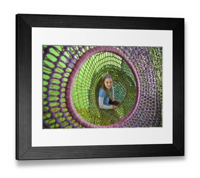 Framed Print : Asia, Japan
