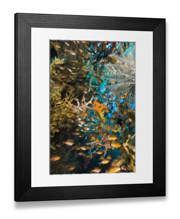 Framed Print : Asia, Indonesia Framed Print : Asia, Indonesia
