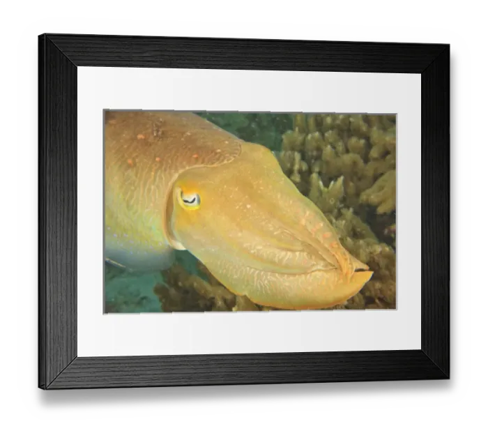 Framed Print : Asia, Indonesia Framed Print : Asia, Indonesia