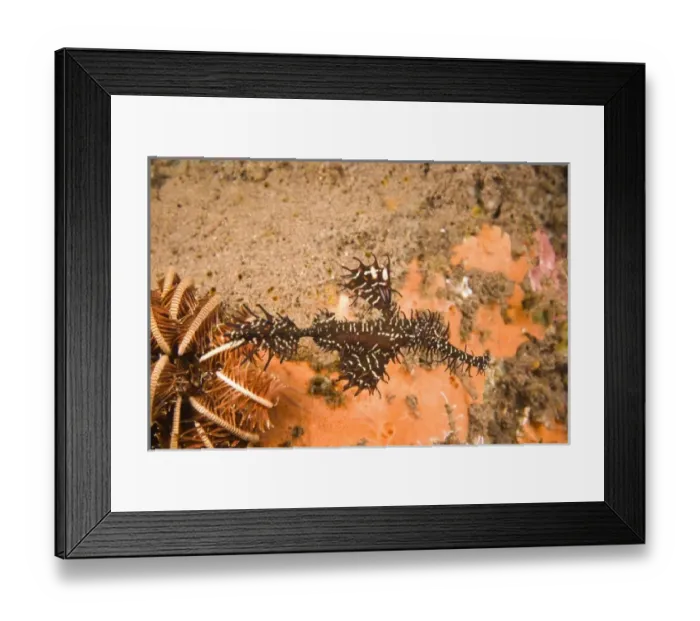 Framed Print : Asia, Indonesia Framed Print : Asia, Indonesia