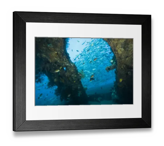 Framed Print : Indonesia, Bali Province, Tulamben. Tropical fish at the Liberty Shipwreck