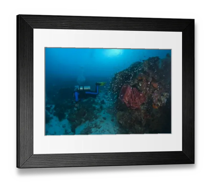 Framed Print : Model Released scuba divers at Tukang Besi Marine Preserve, pristine reefs near Wakatobi Framed Print : Model Released scuba divers at Tukang Besi Marine Preserve, pristine reefs near Wakatobi