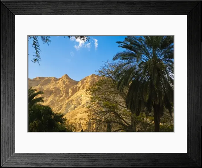 Framed Print : Israel, Dead Sea. Desert scenery