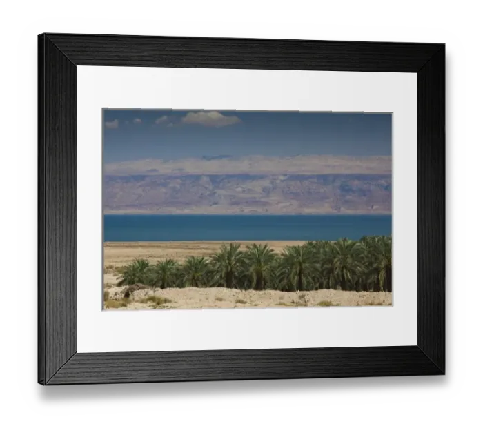 Framed Print : Israel, Dead Sea, Metzoke Dragot, Dead Sea and Palm Grove Framed Print : Israel, Dead Sea, Metzoke Dragot, Dead Sea and Palm Grove