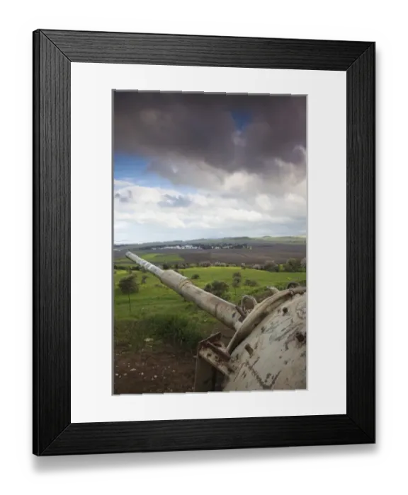 Framed Print : Asia, Israel Framed Print : Asia, Israel