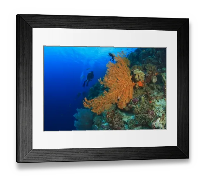 Framed Print : Scuba divers at Tukang Besi Marine Preserve, pristine reefs near Wakatobi Diver Resort Framed Print : Scuba divers at Tukang Besi Marine Preserve, pristine reefs near Wakatobi Diver Resort