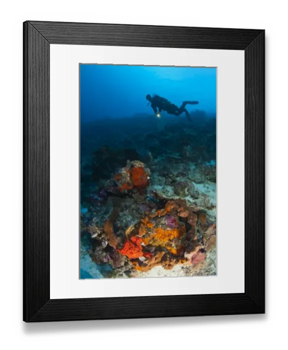 Framed Print : Model Released scuba divers at Tukang Besi Marine Preserve, pristine reefs near Wakatobi Framed Print : Model Released scuba divers at Tukang Besi Marine Preserve, pristine reefs near Wakatobi