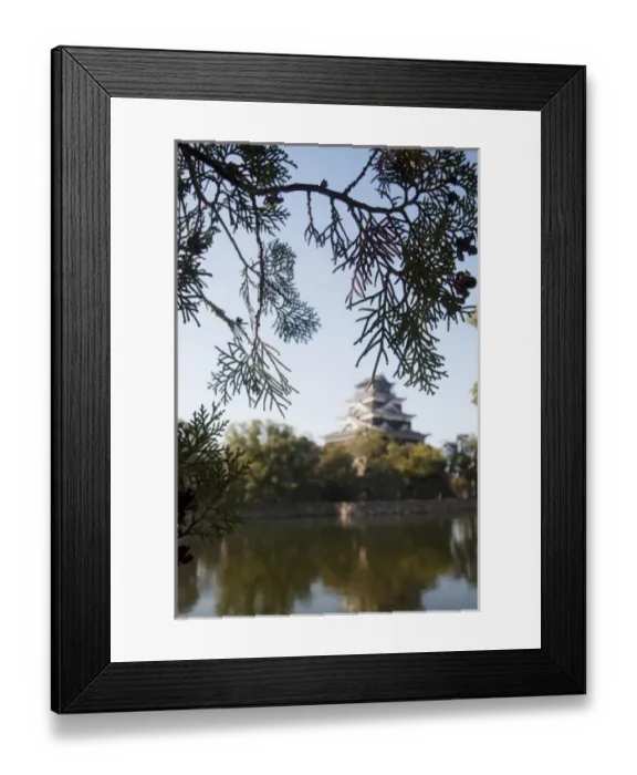 Framed Print : Hiroshima Castle and its moat framed by the local landscape in Hiroshima, Japan
