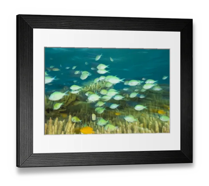 Framed Print : Asia, Indonesia Framed Print : Asia, Indonesia