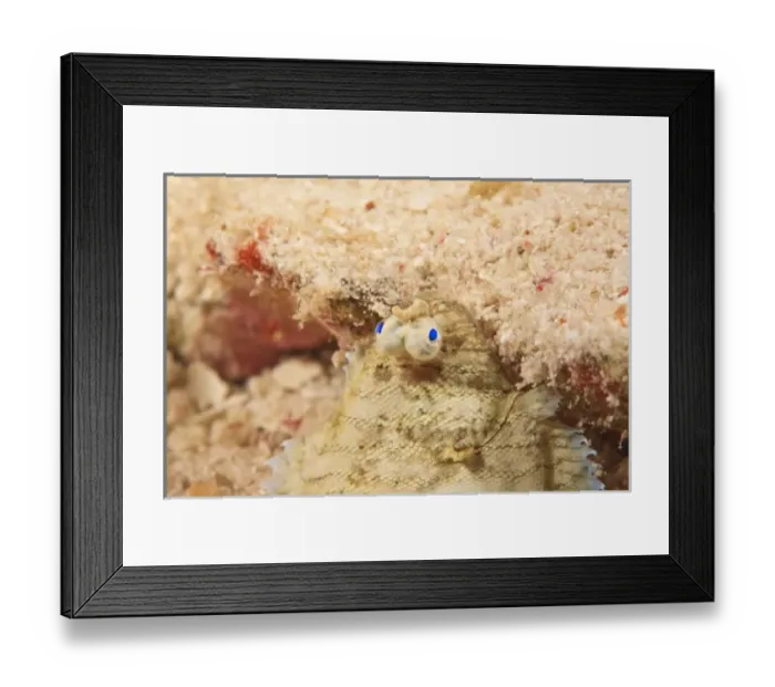 Framed Print : Asia, Indonesia Framed Print : Asia, Indonesia